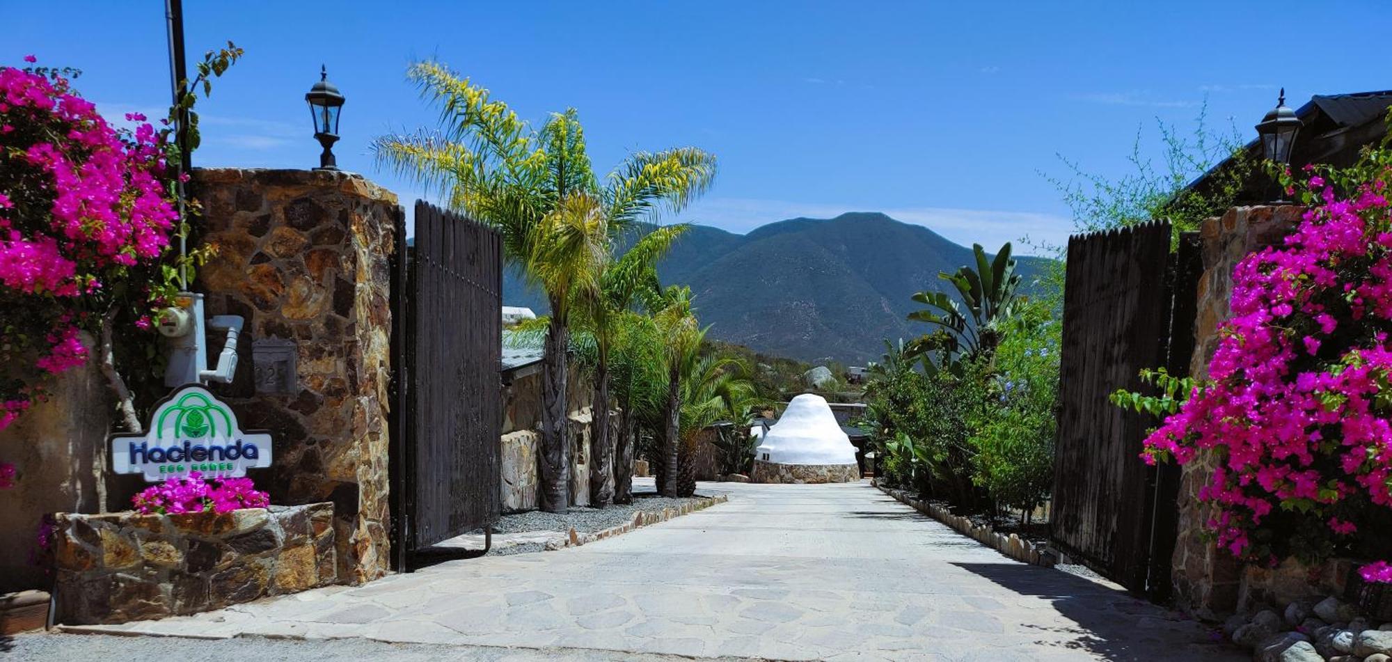 Вілла Hacienda Eco-Domes Вальє-де-Гуадалупе Екстер'єр фото